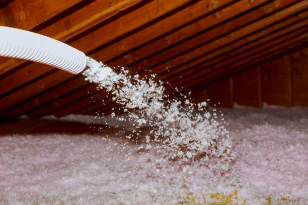 Insulation Inspection Services in Malone, FL